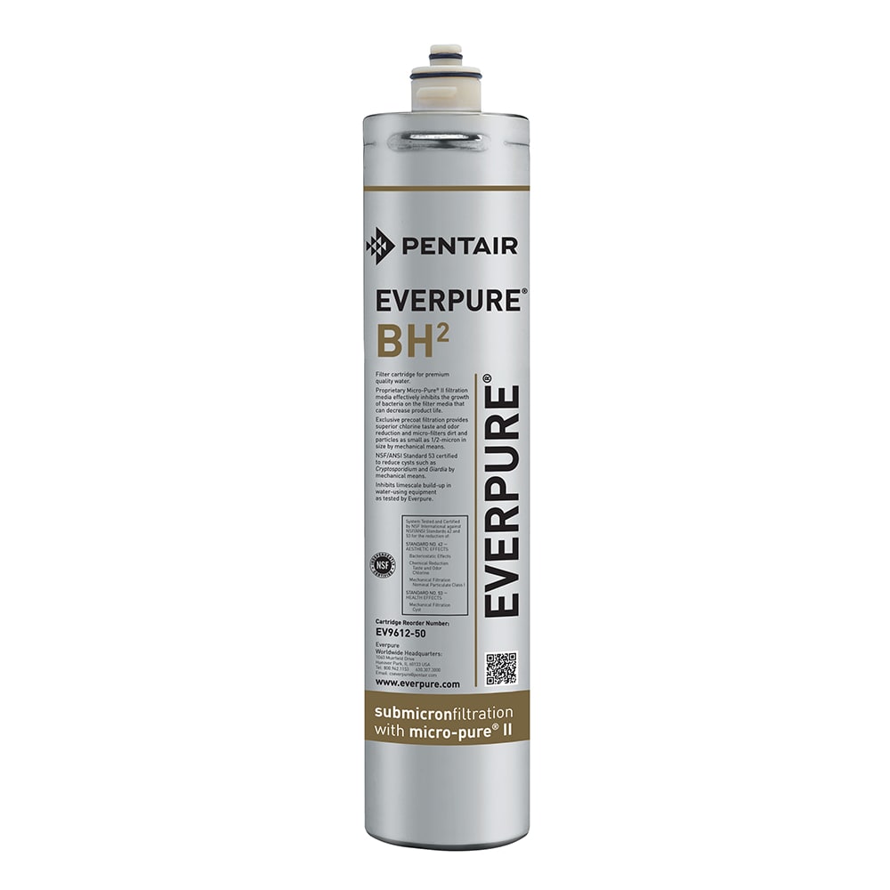 149-EV961250 BH² Replacement Water Filter Cartridge - 3,000 gal Capacity