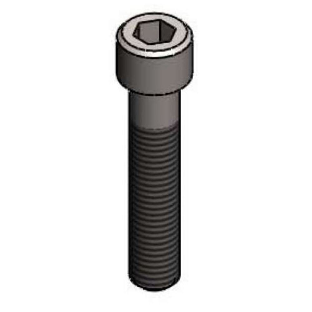 064-01745445 Screw Socket Head Cap, Stainless Steel