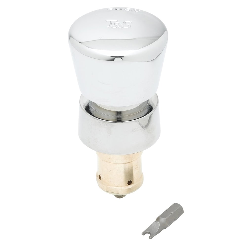 064-238AB Self Closing Metering Cartridge w/ Blank Push Button