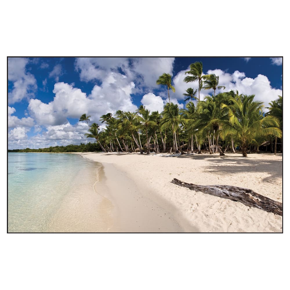 Accuform Signs LPM106X Disposable Work Mat w/ Adhesive Backing - 12 1/2" x 19 1/2", Plastic, Beach Palms