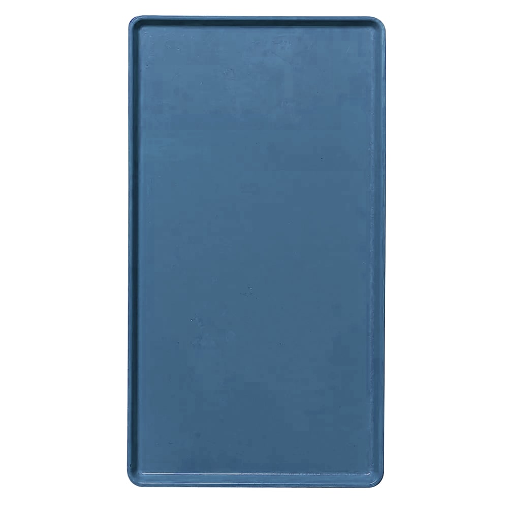 144-1216D401 Rectangular Dietary Tray - For Patient Feeding, 12" x 16", Slate Blue