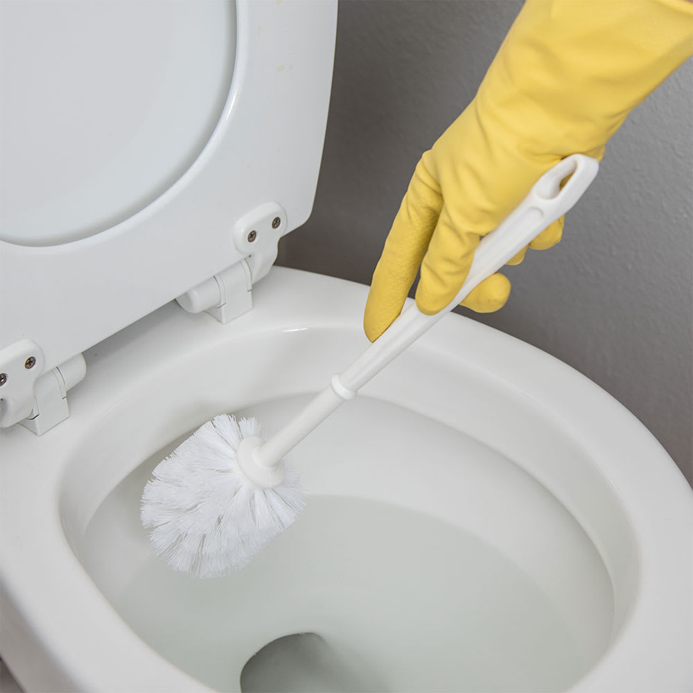 Toilet Brush – spotLESS Materials