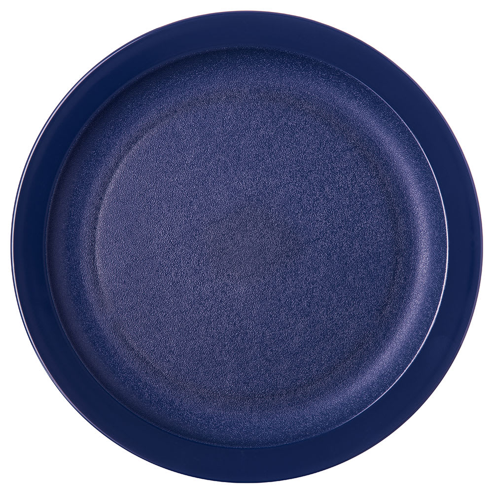 028-PCD20950 9" Plastic Dinner Plate, Dark Blue
