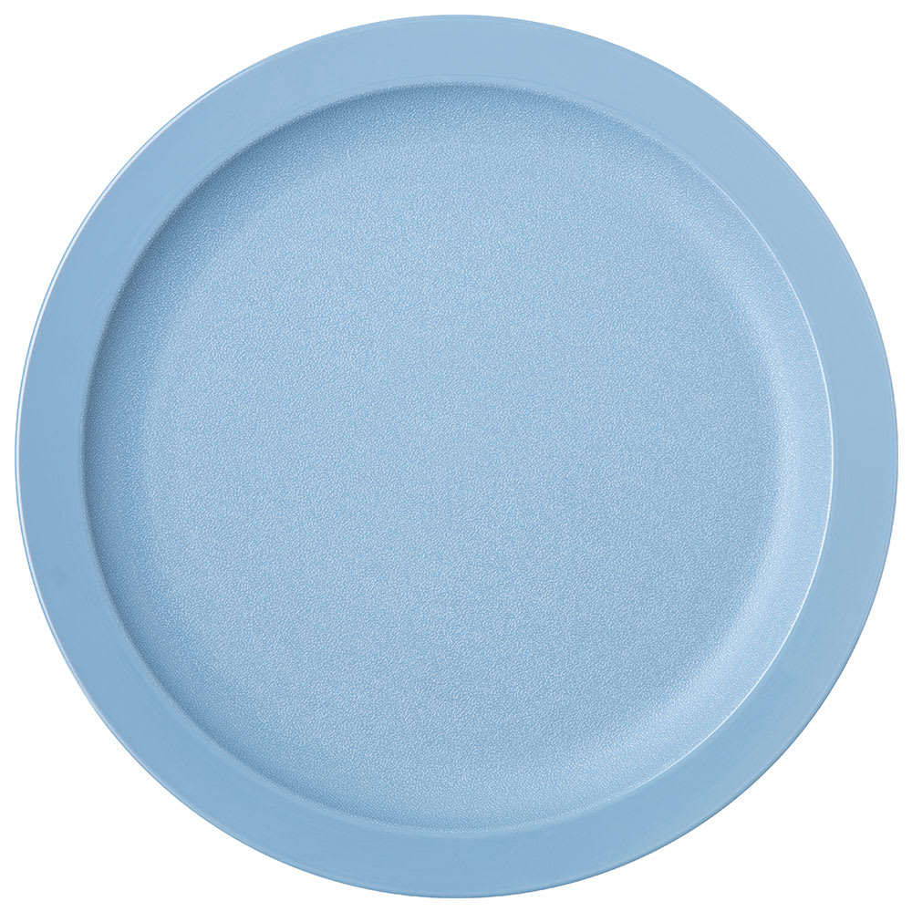 028-PCD20959 9" Plastic Dinner Plate, Slate Blue