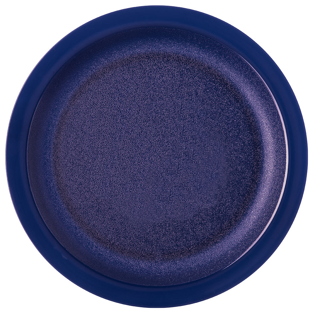 028-PCD21050 10" Plastic Dinner Plate, Dark Blue