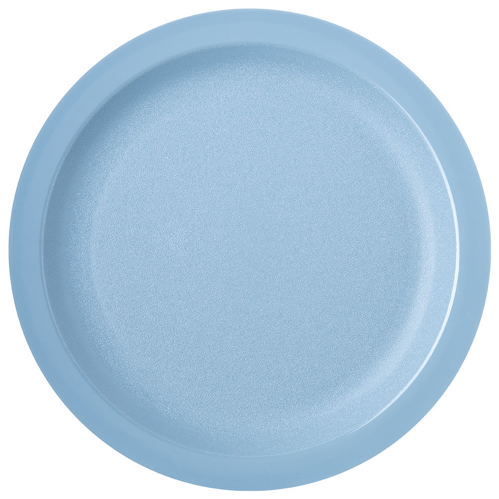 028-PCD21059 10" Plastic Dinner Plate, Slate Blue