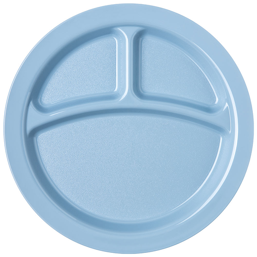 028-PCD22059 9" Plastic Dinner Plate, Slate Blue