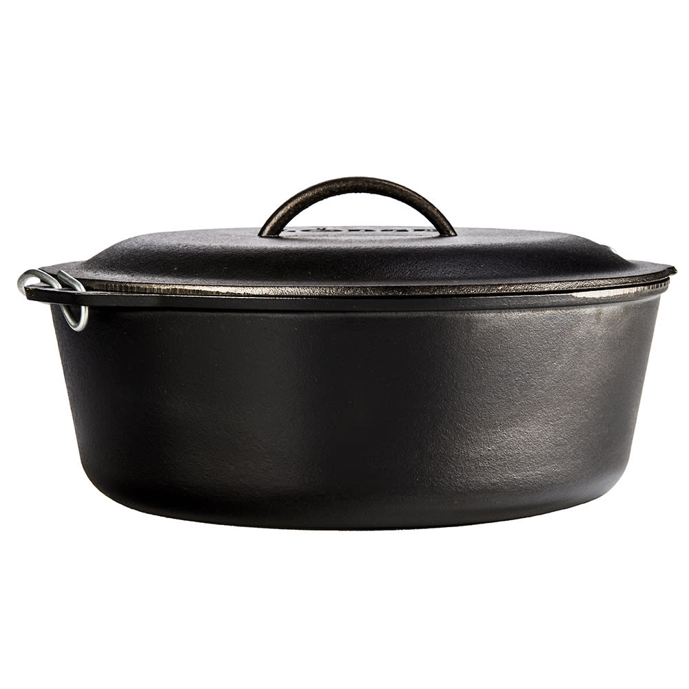 Lodge 9 Quart Cast Iron Dutch Oven. Pre Seasoned Cast Iron Pot and Lid with  Wire Bail for Camp Cooking