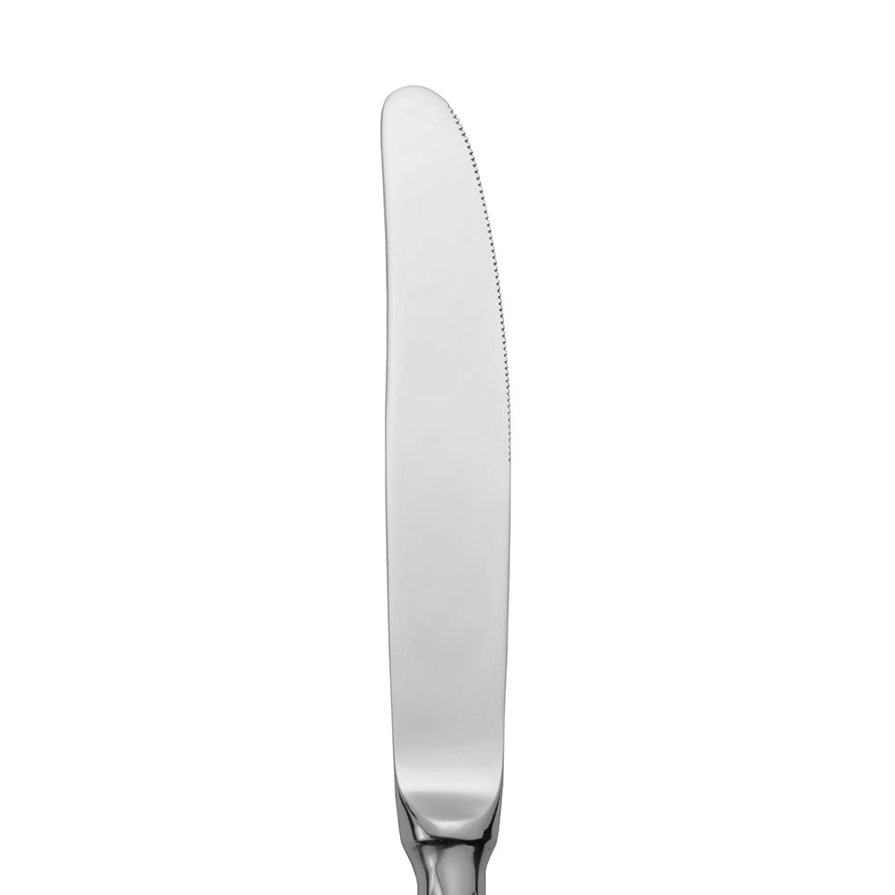 370-RE113 9 1/4" Table Knife with 18/8 Stainless Grade, Regency Pattern