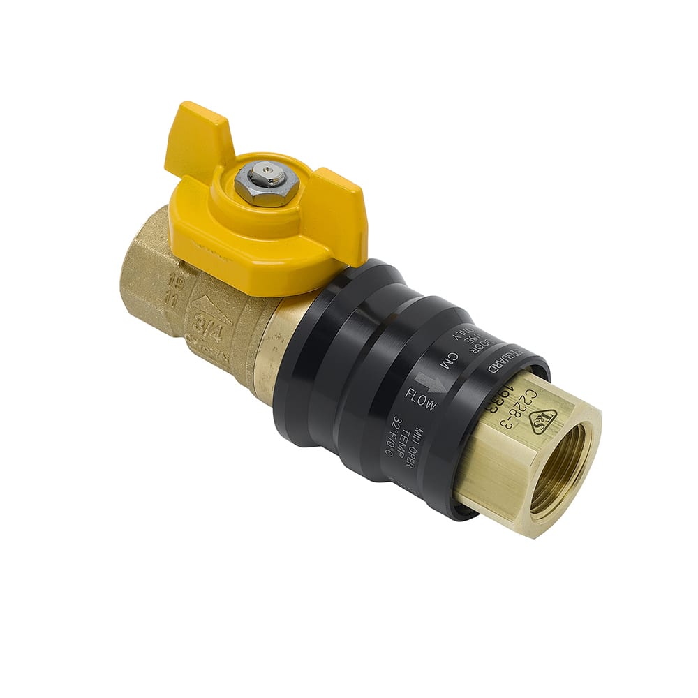 064-AG9E Combination Gas Valve w/ Quick Disconnect, 1" Female Connections
