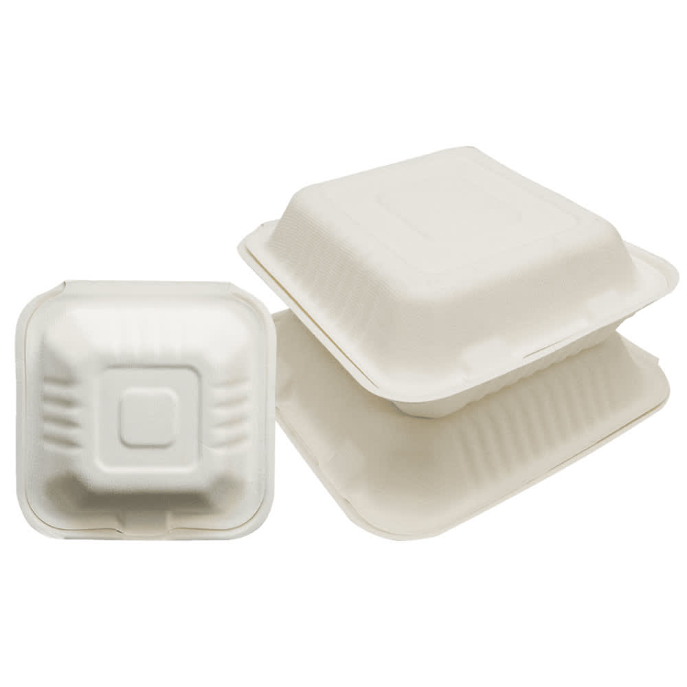 538-EPPHL91 Hinged Lid Food Container - 9" x 9" x 3", Plastic, Natural