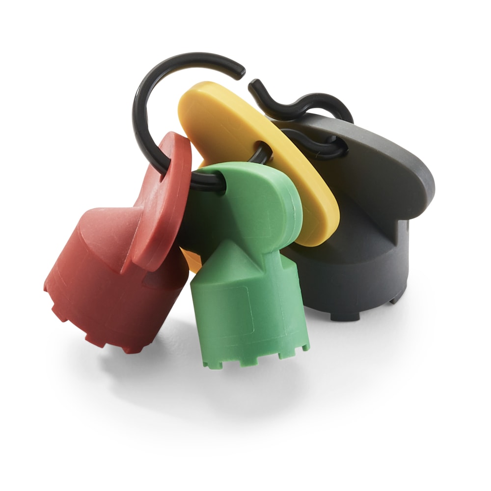 813-P6900KEYS Cache Keys on Ring
