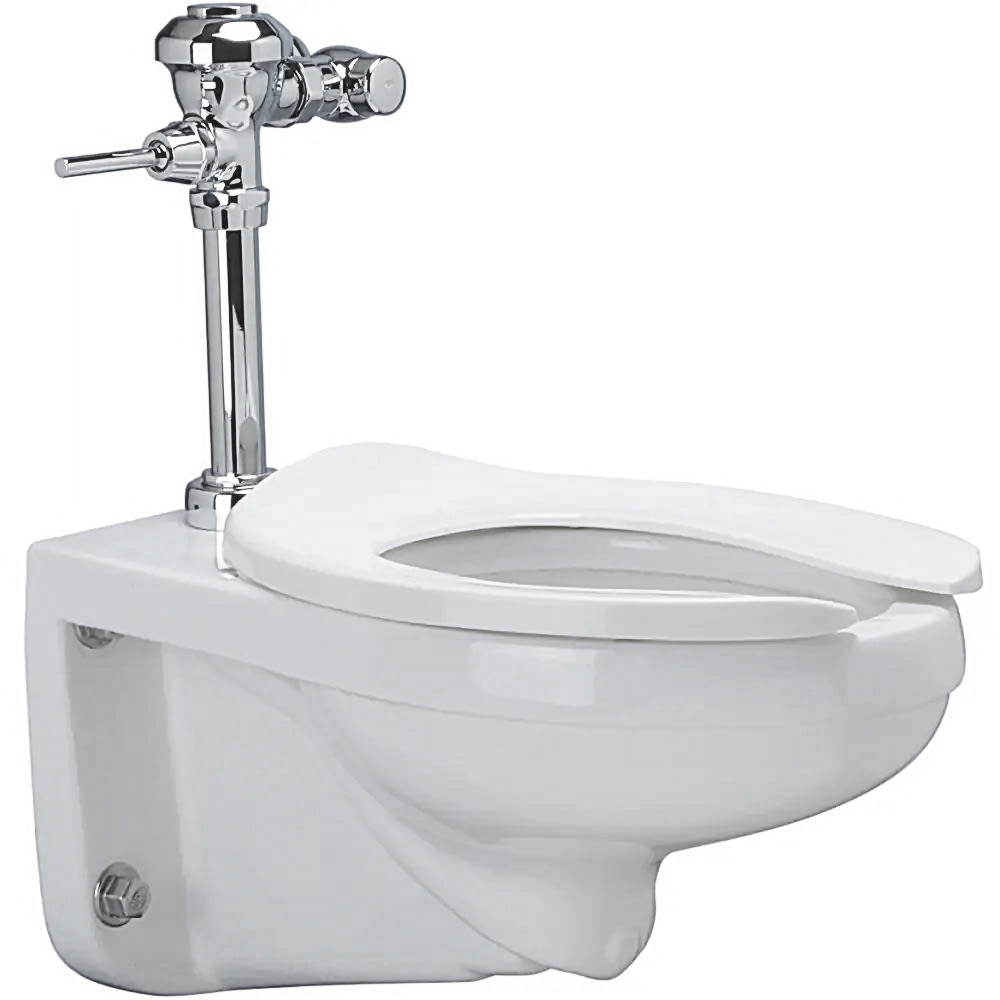 813-ZWC1M Wall Mount Manual Elongated Bowl System - 1.1 gpf