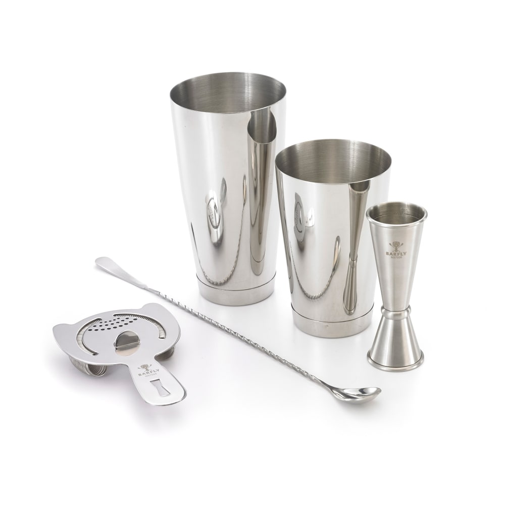 5pc Cocktail Shaker Set with Two Martini Glasses