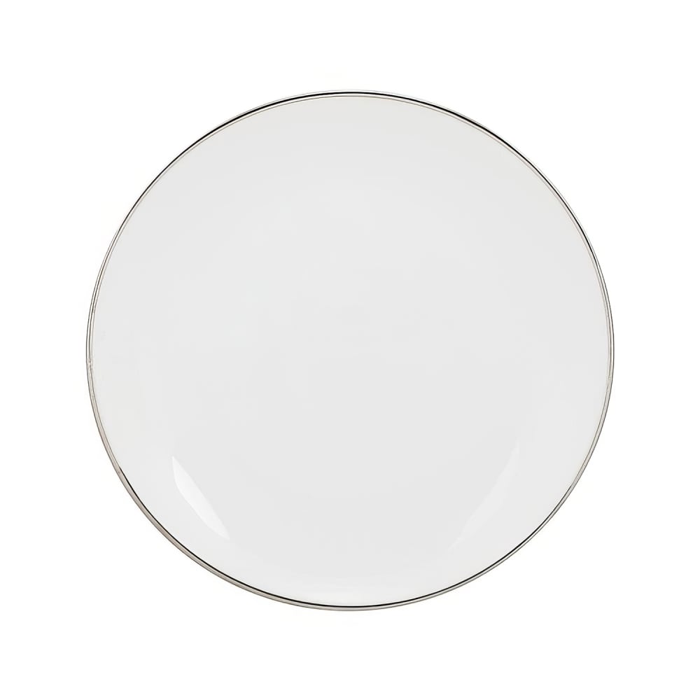 861-CPSL0002 9 1/2" Round Silver Line Luncheon Plate - Porcelain, White
