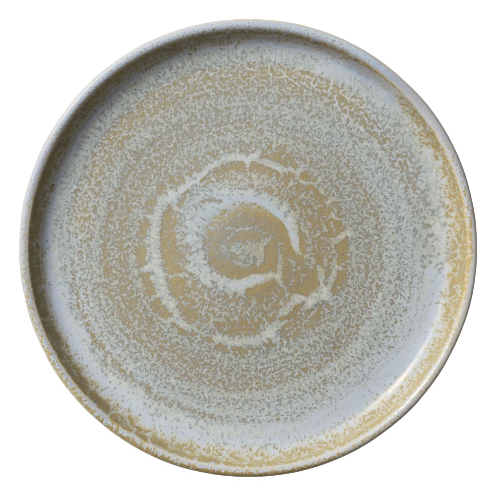 192-801182141000100 8 1/2" Round Perfect Match Flat Plate - Porcelain, Breeze