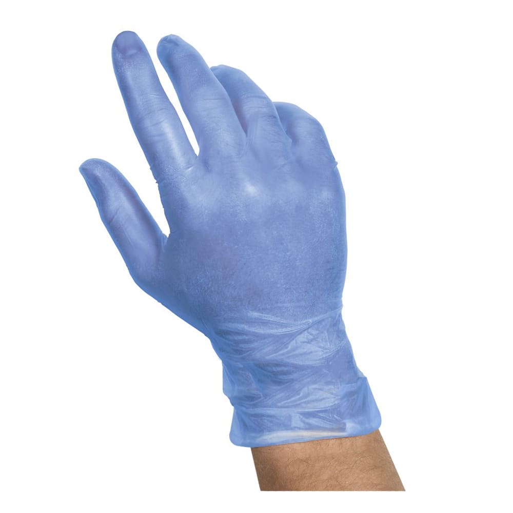 417-459870 Valugards General Purpose Vinyl Gloves - Powder Free, Blue, Large