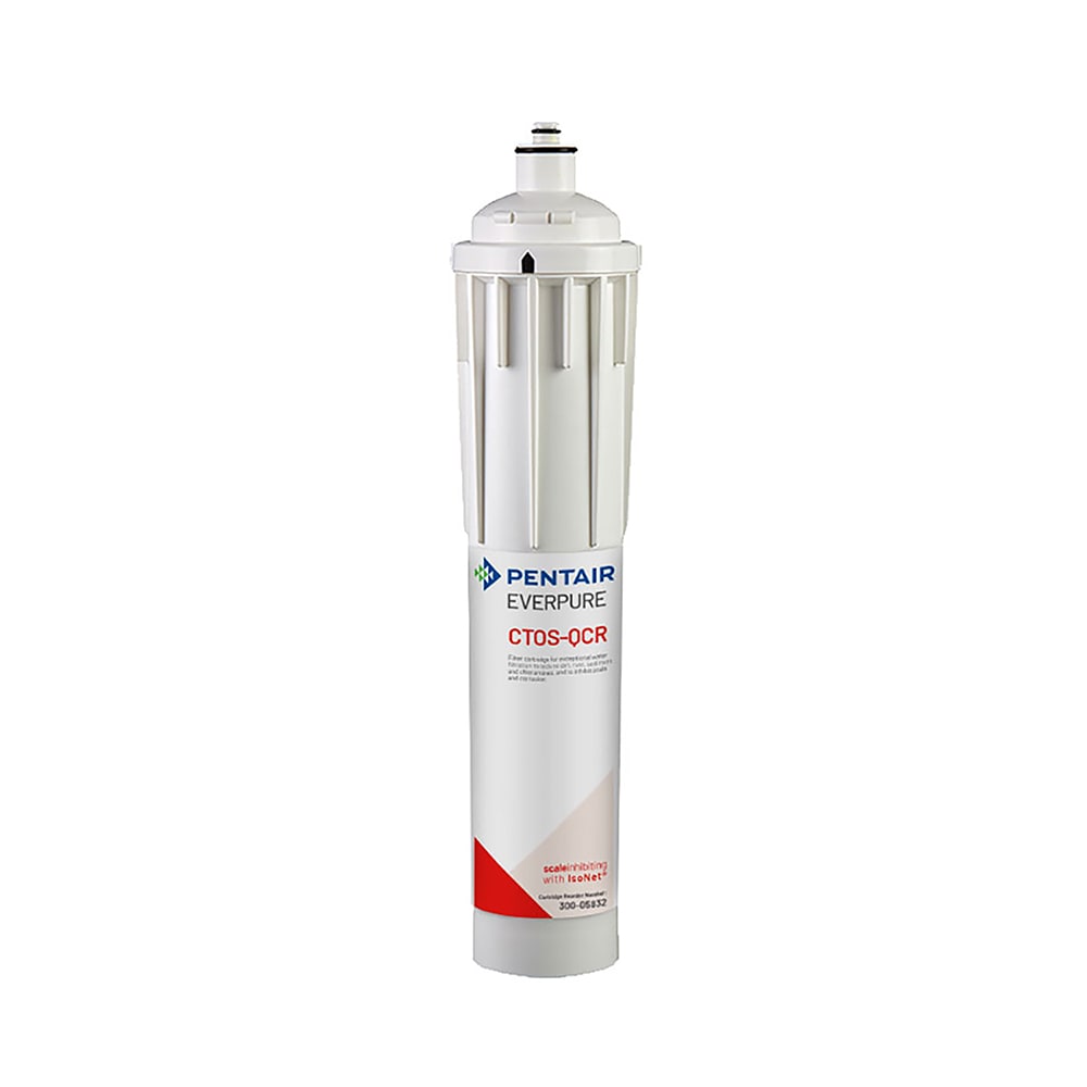 149-CTOSQCR Replacement Water Filter Cartridge - 6,000 gal Capacity