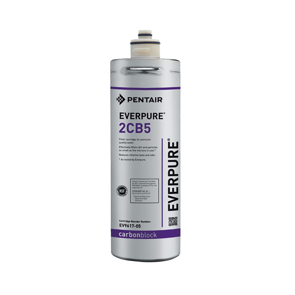 149-EV961705 Replacement Water Filter Cartridge - 3,000 gal Capacity