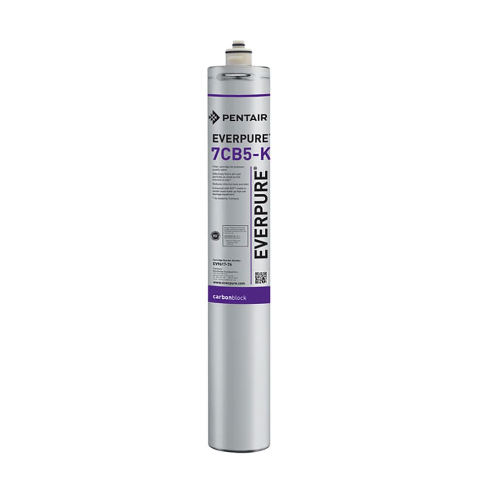 149-EV961776 Replacement Water Filter Cartridge - 10,000 gal Capacity