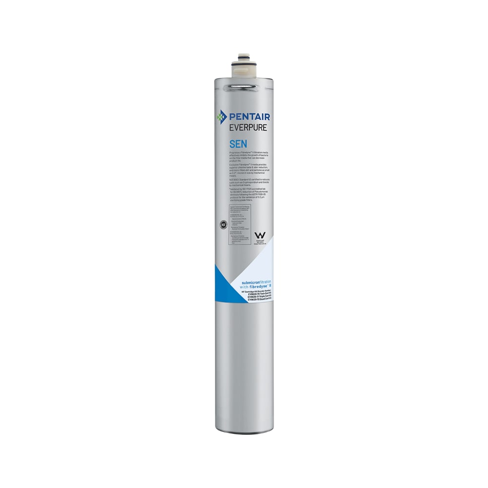 149-EV969265 Replacement Water Filter Cartridge - 50,000 gal Capacity