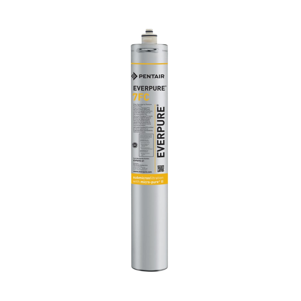 149-EV969261 Replacement Water Filter Cartridge - 25,000 gal Capacity