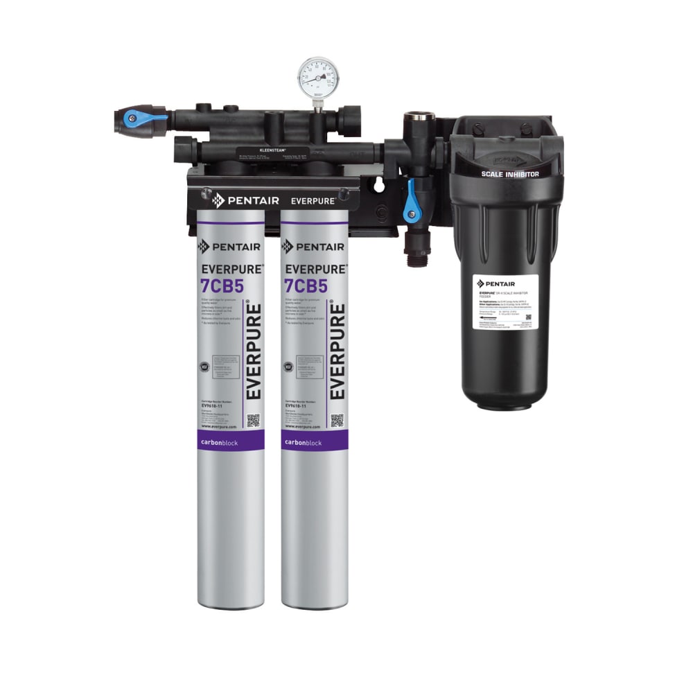 149-EV979722 KleenSteam II® Twin 7CB5 Combination Water Filter Cartridge Assembly