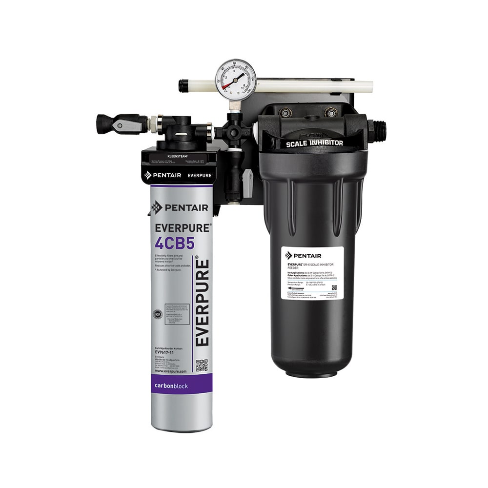 149-EV979750 KleenSteam II® Single 4CB5 Combination Water Filter Cartridge Assembly