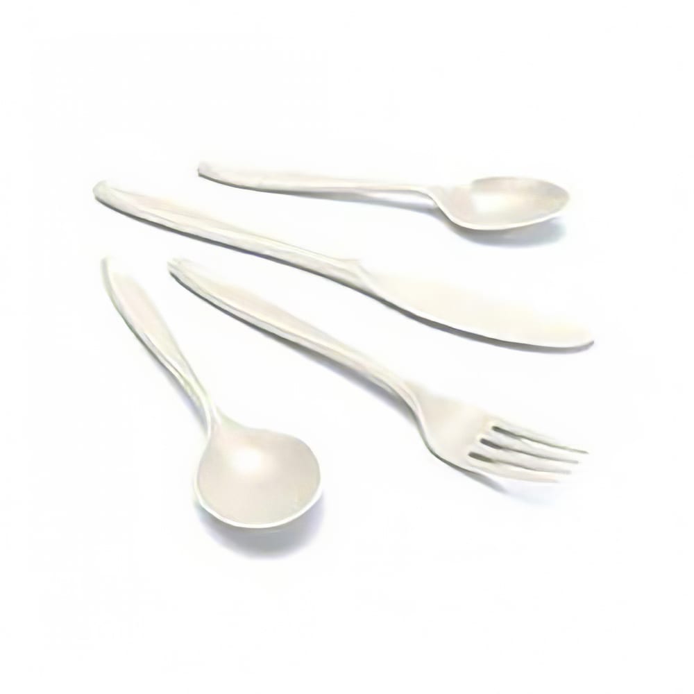 809-25020 Disposable Spoon - Plastic, White