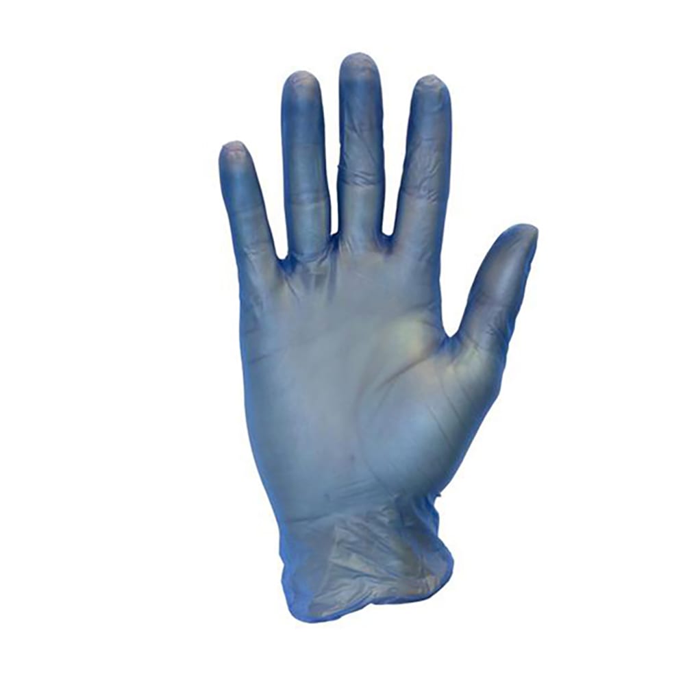 809-73212 General Purpose Vinyl Gloves - Powder Free, Blue, Small