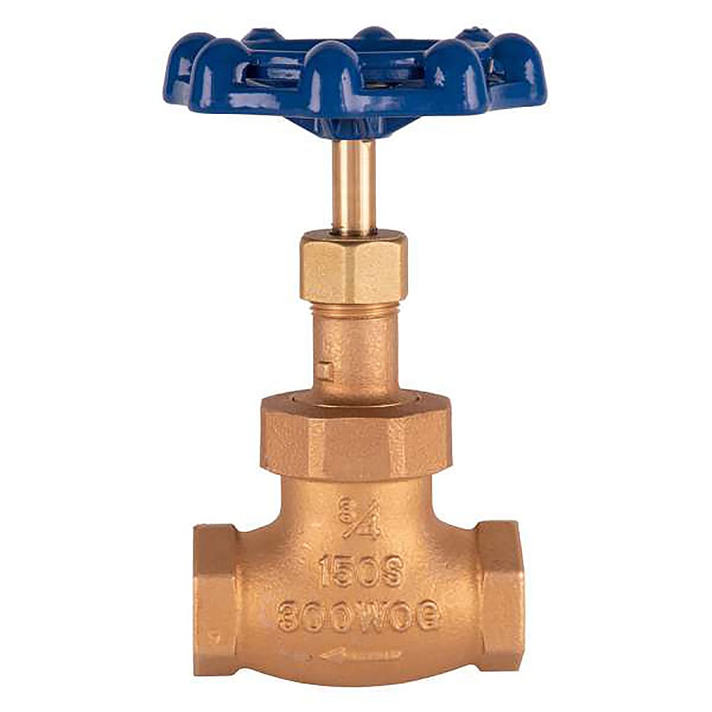 064-00664820B 3/4" Globe Valve, Blue Handle