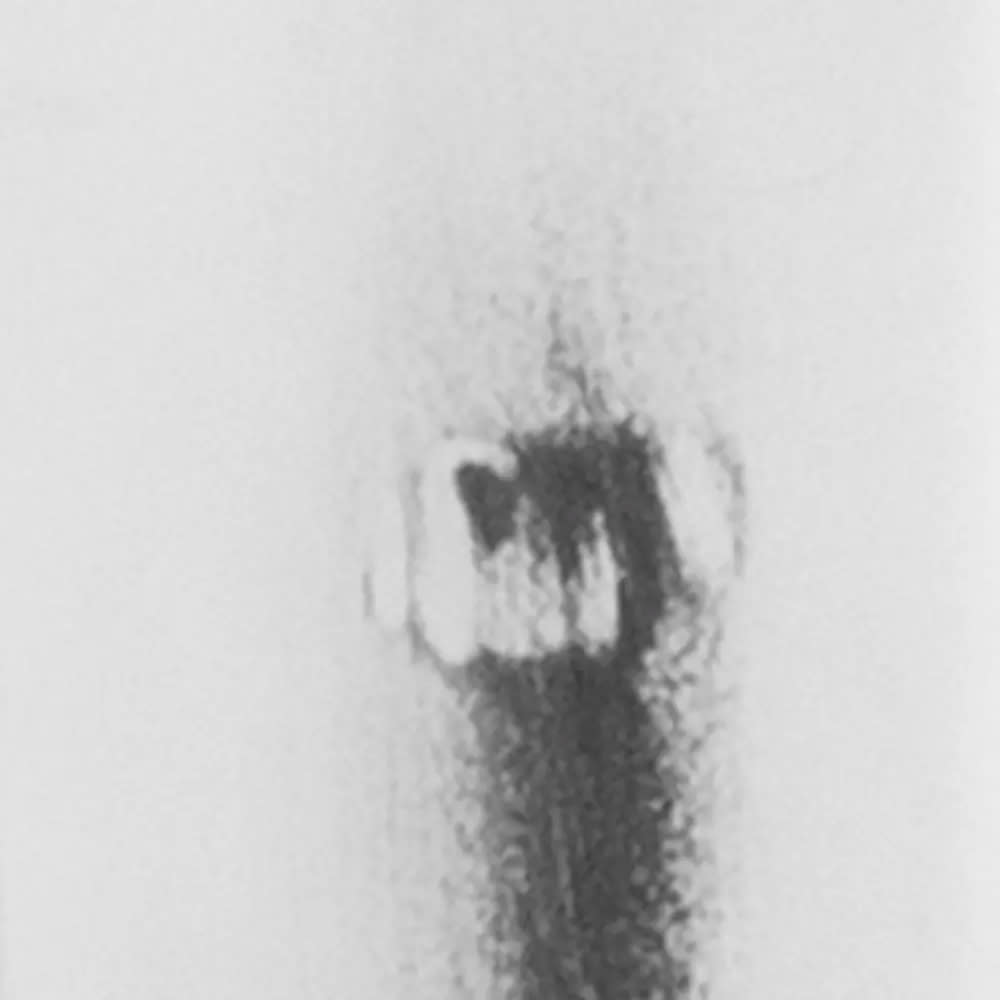 999-M032 Multiple Large Image #5