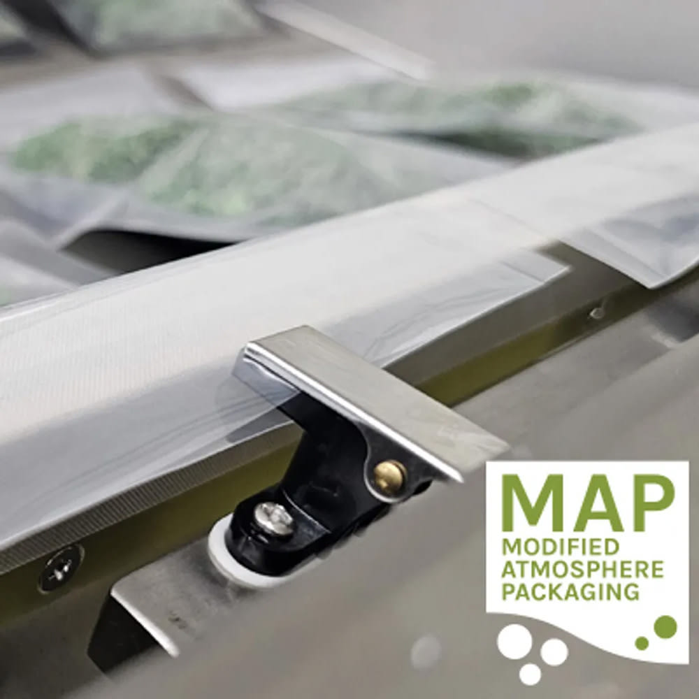 953-VP545 Multiple Large Image #1