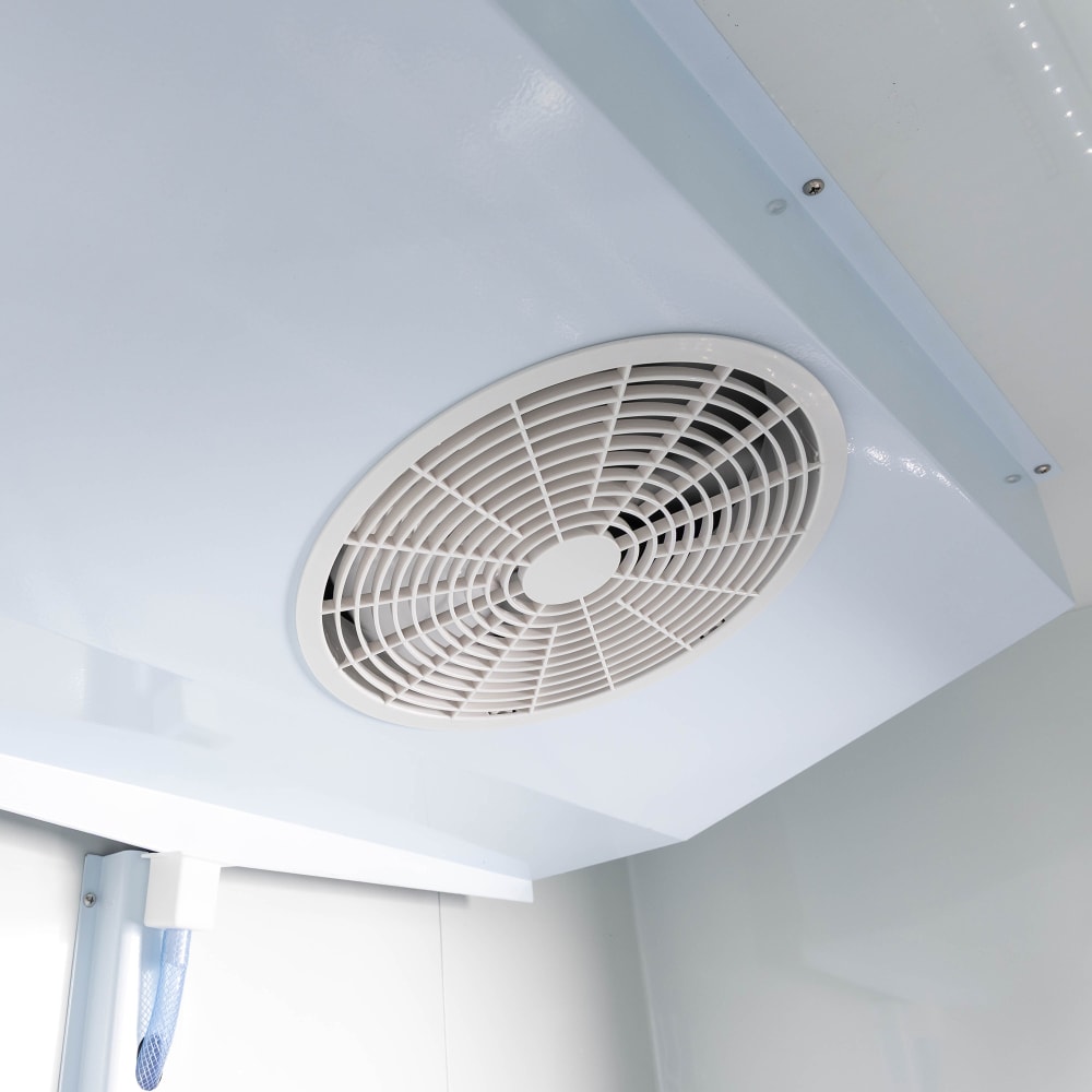 999-MRM2D Multiple Large Image #13