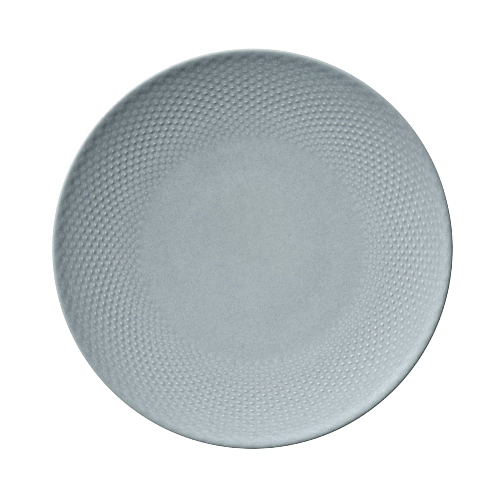 634-802122441000201 9 1/2" Pine Round China Plate, Sky
