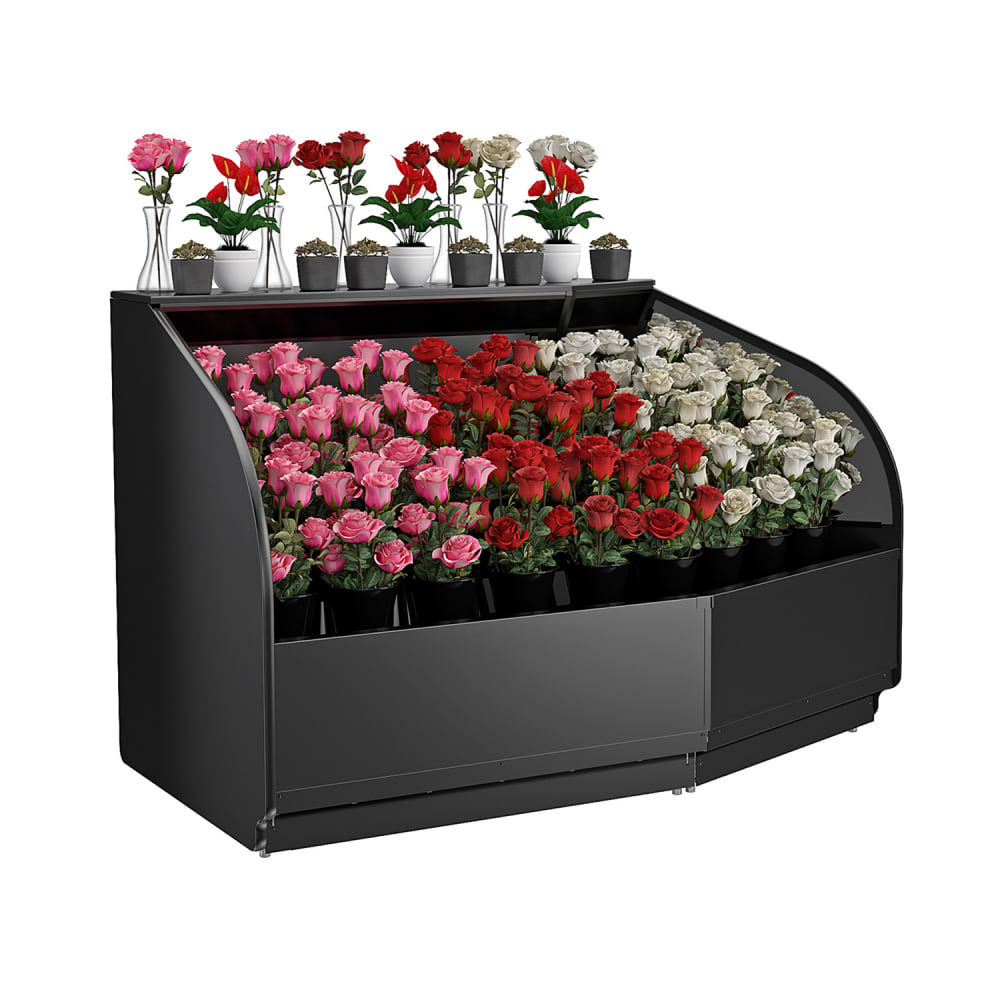 529-FLPW48 Allure® Low Profile Open Floral Cooler - Black, 110-120v