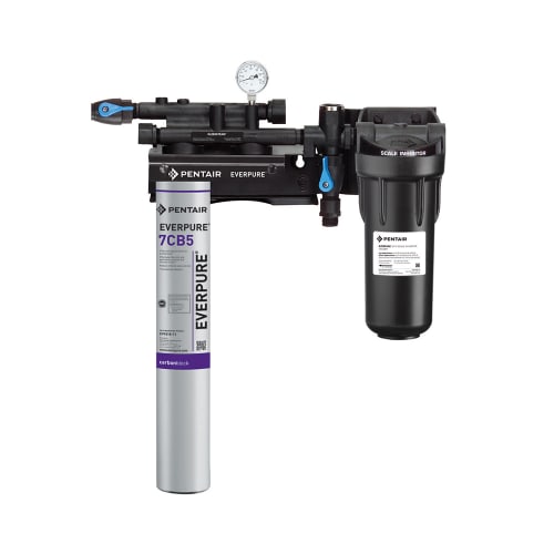 Everpure KleenSteam II Single 7CB5 Combination Water Filter Cartridge Assembly EV979721