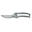 037-45903 Primary Thumbnail Image