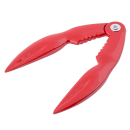 229-515 Primary Thumbnail Image