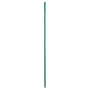 924-SISP36GE Primary Thumbnail Image