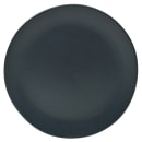 861-RPPLEBLKCHRGR Primary Thumbnail Image