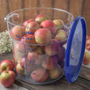 028-1076807 Multiple Thumbnail Image #5