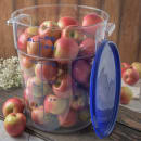 028-1076907 Multiple Thumbnail Image #5