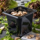 028-3068503 Multiple Thumbnail Image #4