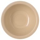 028-4352225 Primary Thumbnail Image