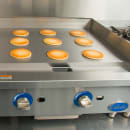 605-GG48G Multiple Thumbnail Image #4