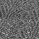 916-CO4BK Multiple Thumbnail Image #6