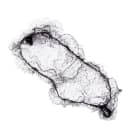 237-647452 Primary Thumbnail Image