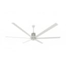 541-MKI61081806A729I Primary Thumbnail Image