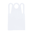 417-439418 Primary Thumbnail Image